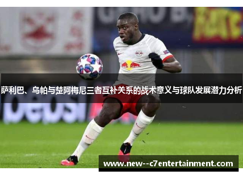 萨利巴、乌帕与楚阿梅尼三者互补关系的战术意义与球队发展潜力分析