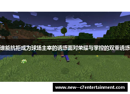 谁能抗拒成为球场主宰的诱惑面对荣耀与掌控的双重诱惑