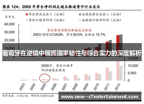 葡萄牙在逆境中展现国家韧性与综合实力的深度解析