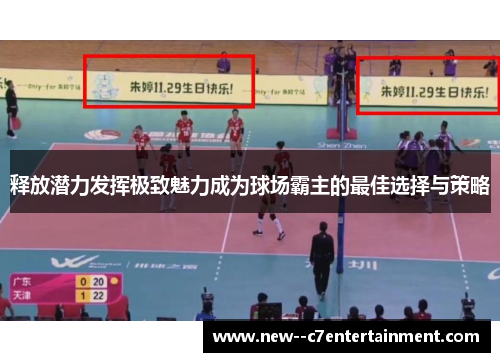 释放潜力发挥极致魅力成为球场霸主的最佳选择与策略