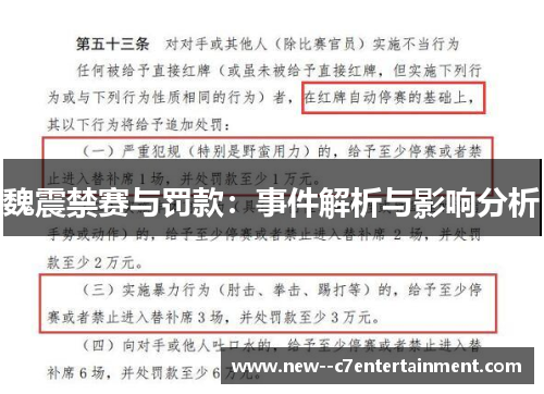 魏震禁赛与罚款：事件解析与影响分析