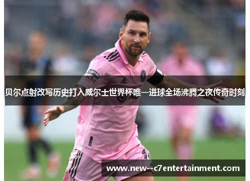 贝尔点射改写历史打入威尔士世界杯唯一进球全场沸腾之夜传奇时刻